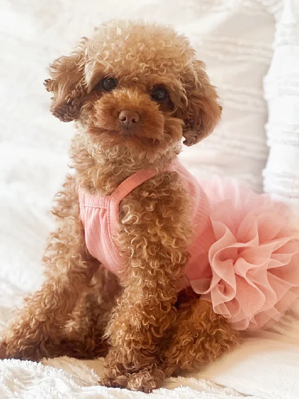 fluffy pink tutu dress